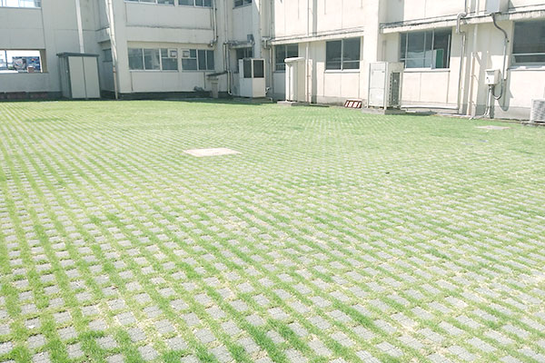 緑化ブロック工事(埼玉県内県立高校)